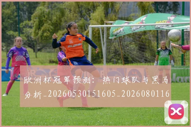 欧洲杯冠军预测：热门球队与黑马分析_20260530151605_20260801165751