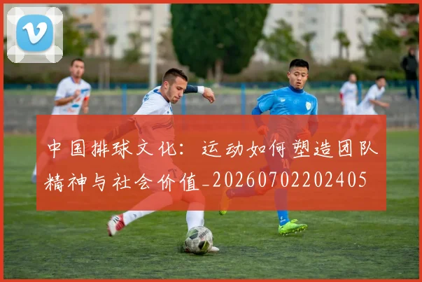 中国排球文化：运动如何塑造团队精神与社会价值_20260702202405
