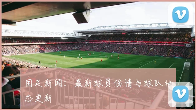 国足新闻：最新球员伤情与球队状态更新