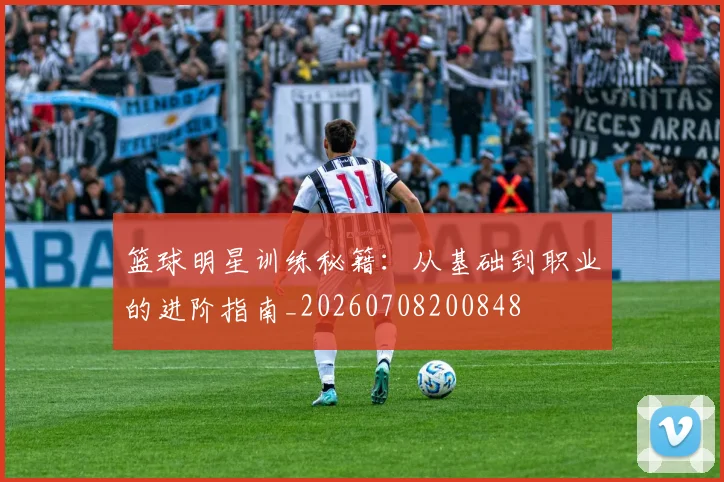 篮球明星训练秘籍：从基础到职业的进阶指南_20260708200848